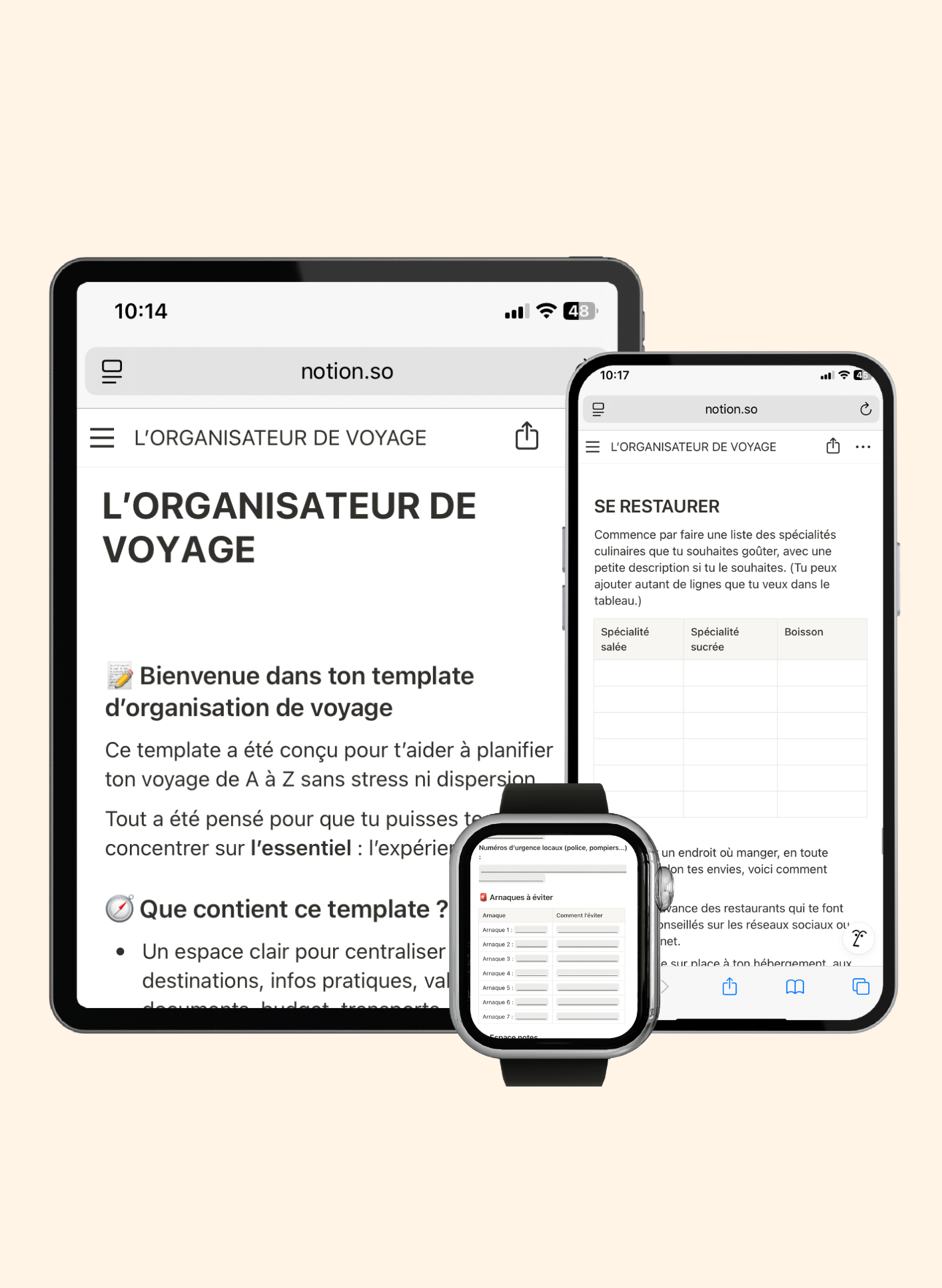 L'Organisateur de Voyage