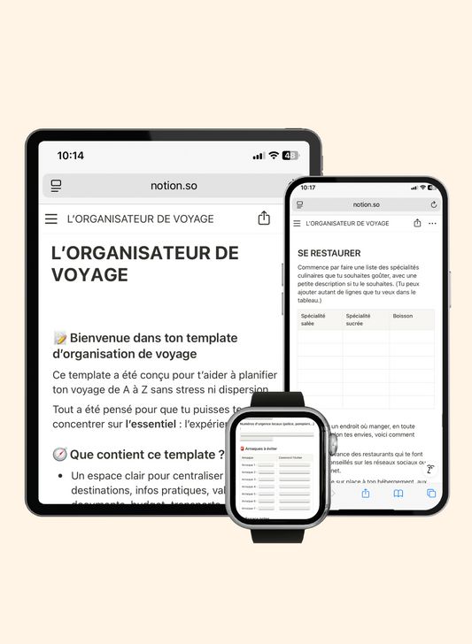 L'Organisateur de Voyage