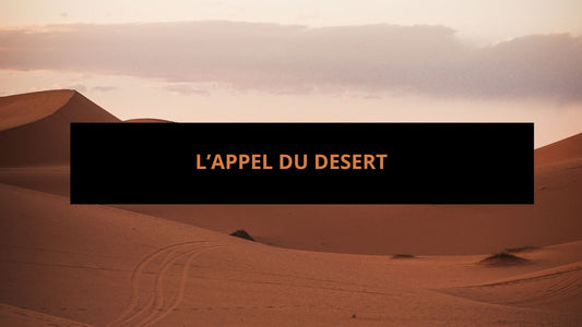 L’Appel du Désert – Voyage de groupe au Maroc